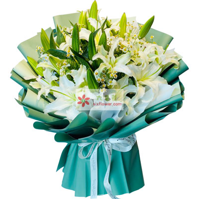 桂林8支白色多头百合洋甘菊，如潮的思念